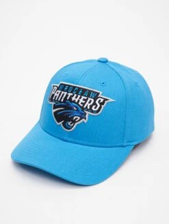 Wroclaw Panthers Baseball Cap 2024 Design 1