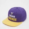 Vienna Vikings Snapback Cap 2024 Design 2