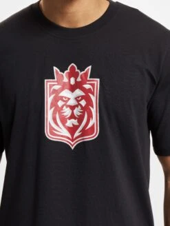 Prague Lions T-Shirt 2024 Design 1 -Football Gear Shop 253 KH 435 6081 4063237031229