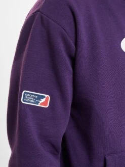 Vienna Vikings Hoodie 2024 Design 1 -Football Gear Shop 335 KH 642 6674 4063237035814