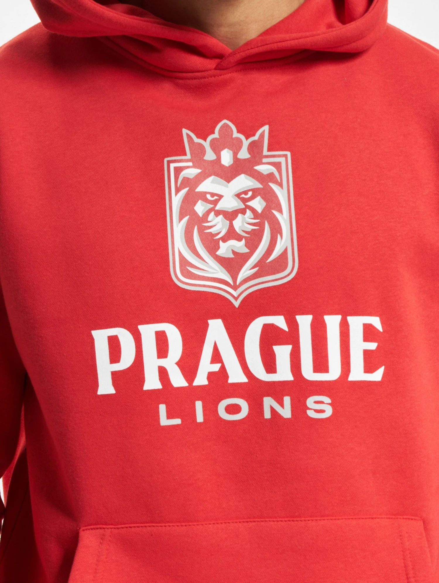 Prague Lions Hoodie 2024 Design 1 6 Prague Lions Hoodie 2024 Design 1 - Image 4