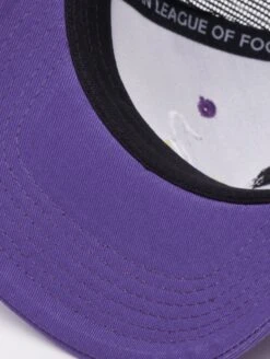 Vienna Vikings Trucker Cap 2024 Design 1 11 Vienna Vikings Trucker Cap 2024 Design 1 -Football Gear Shop 347 KH 166 4063237042997