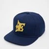 Fehervar Enthroners Snapback Cap 2024 Design 1