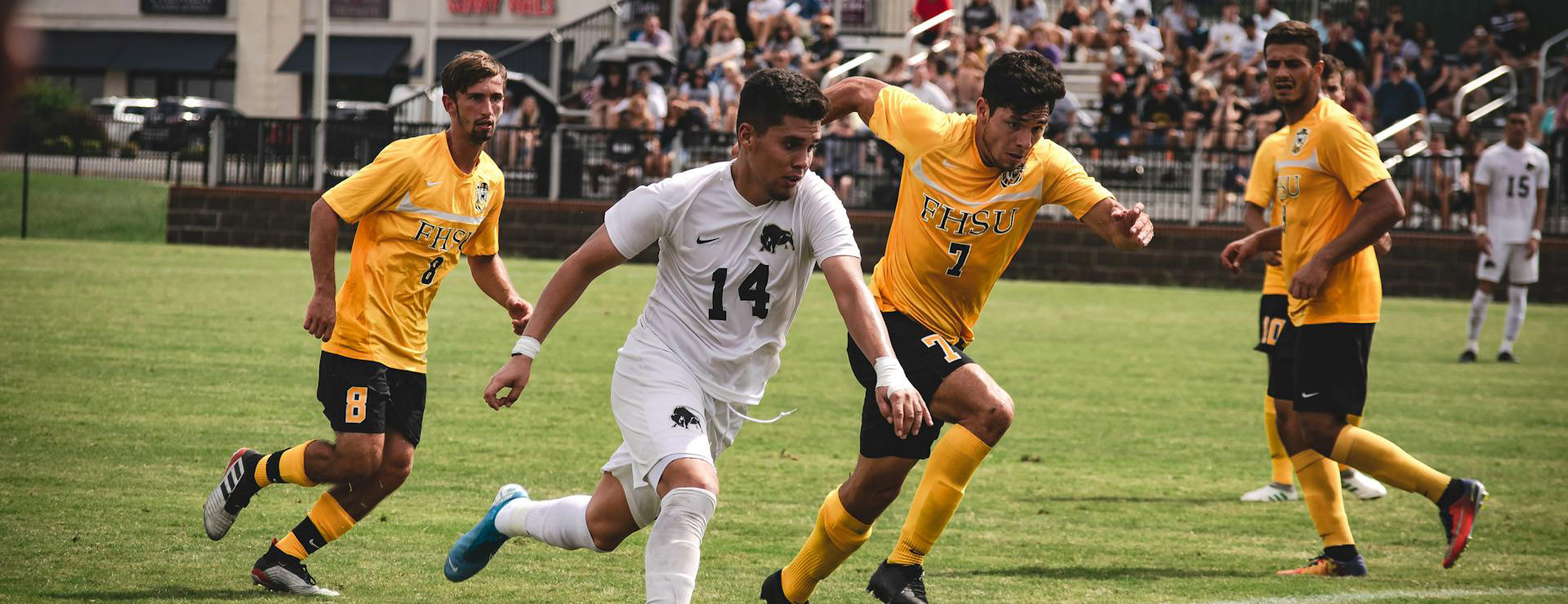 Football Gear Shop -Football Gear Shop pexels expressivestanley 3148452