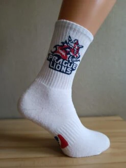 Prague Lions Socks